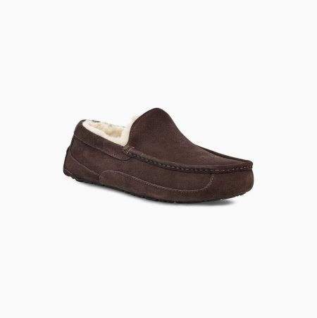 UGG Ascot Brown Slippers for Men (IKPL73184)